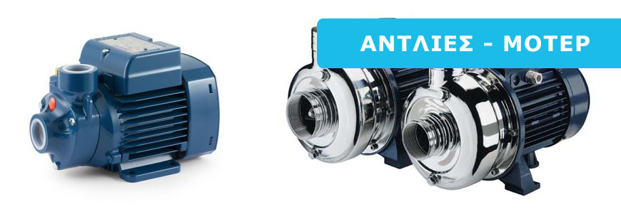 antlies_moter-2.jpg